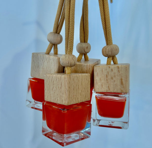 Car Fresheners / Hanging Diffusers