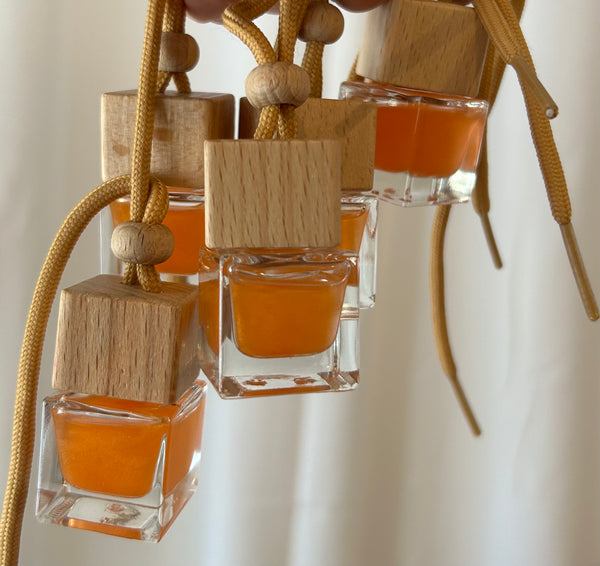 Car Fresheners / Hanging Diffusers