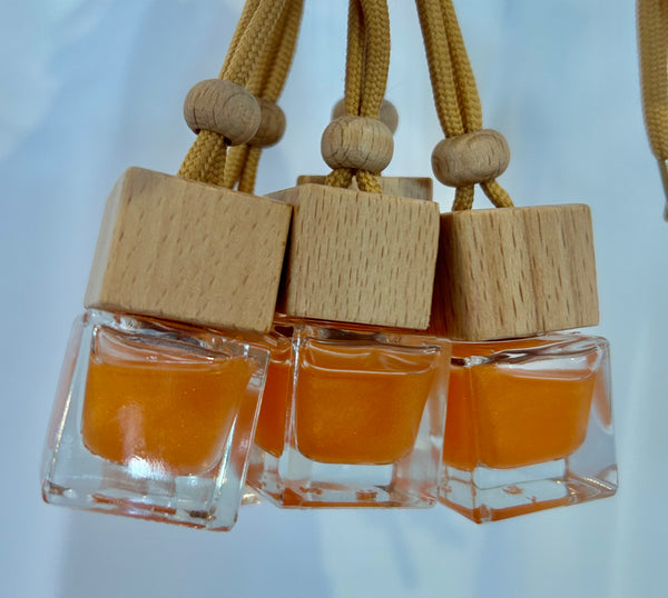 Car Fresheners / Hanging Diffusers