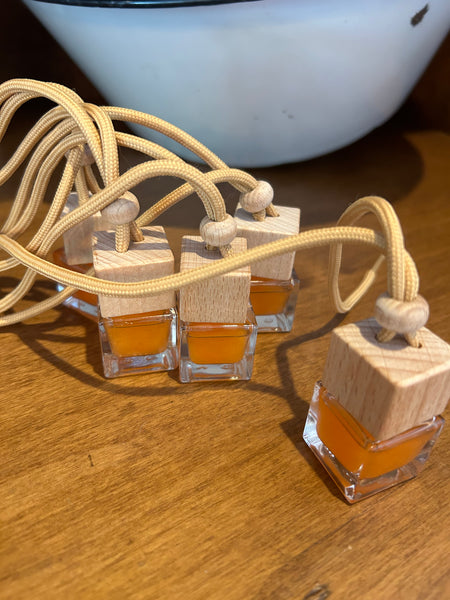 Car Fresheners / Hanging Diffusers