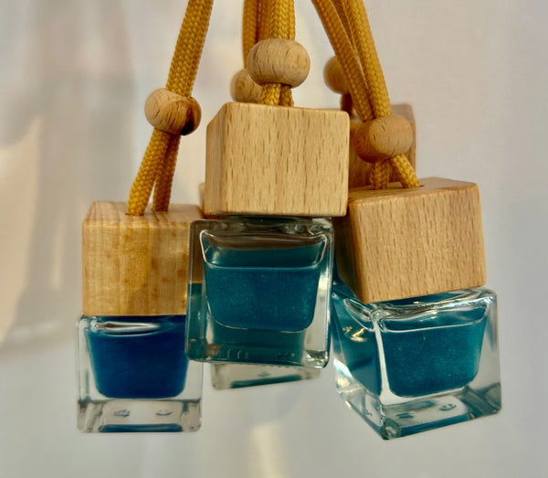 Car Fresheners / Hanging Diffusers