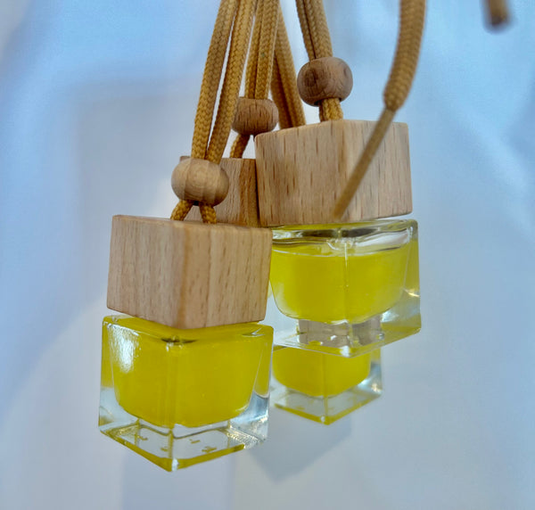 Car Fresheners / Hanging Diffusers