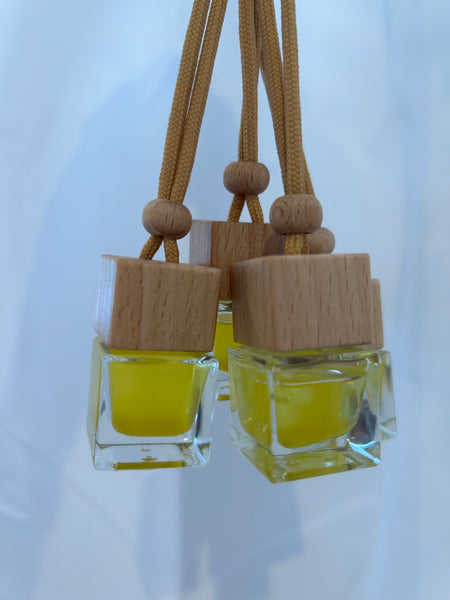 Car Fresheners / Hanging Diffusers